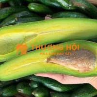 Bơ tươi lâu an toàn mà không cần dùng thuốc