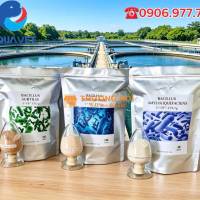 MEN VI SINH ĐƠN DÒNG NHẬP KHẨU GIÁ RẺ