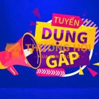 Cần Tuyển Dụng Gấp Gấp Gấp