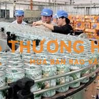 CROWN - Tuyển Vị Trí Checker