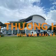 Kỹ thuật viên/Thợ Sơn Ô tô Du lịch