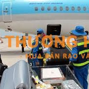NHÂN VIÊN BỐC XẾP KHO HÀNG o sân bay