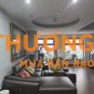 Cần bán gấp 2 căn hộ chung cư Skylight 125Đ Minh Khai, Hai Bà Trưng