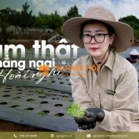 G.Organic - Thực phẩm hữu cơ tự nhiên từ đất lành