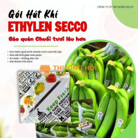 Ứng dụng gói hút ethylene Secco giúp chống chín sớm chuối tươi xuất khẩu