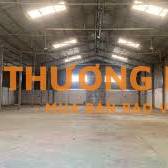 CHO THUÊ KHO / XƯỞNG MỚI ĐẸP 250m² – BÌNH TÂN, ĐIỆN NƯỚC ĐẦY ĐỦ