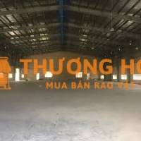 BÁN KHO XƯỞNG GIÁ RẺ TẠI 986/4 HƯƠNG LỘ 2, 20X45M, SỔ HỒNG FULL THỔ CƯ