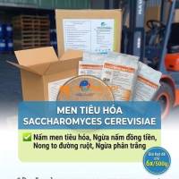 nấm men tiêu hoá saccharomyces cerevisiae