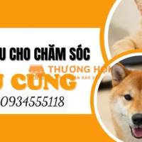 chuyên cung cấp phân phối nguyên liệu cao thảo dược giá rẻ