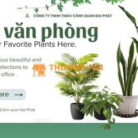 Dịch Vụ Chăm Sóc Cây Xanh Văn Phòng – Tòa Nhà Tại Đồng Nai