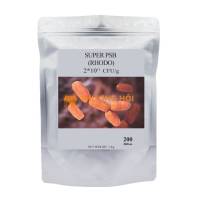 RHODO xử lý khí độc, tôm khoẻ