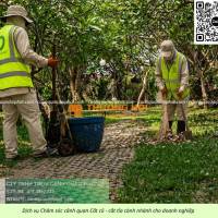 Dịch vụ chăm sóc cây xanh văn phòng – nhà xưởng Khu Công Nghệ Cao TP.HCM
