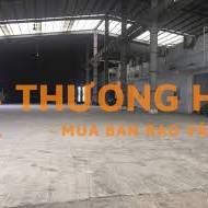 BÁN KHO XƯỞNG GIÁ RẺ TẠI 986/4 HƯƠNG LỘ 2, 20X45M, SỔ HỒNG FULL THỔ CƯ