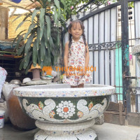 chậu hoa cẩn sành sứ , chậu long phụng , chậu rồng