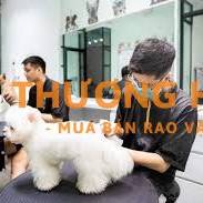 Tuyển nhân viên cắt tỉa thú cưng làm Phố Thành Công, Phường Giảng Võ