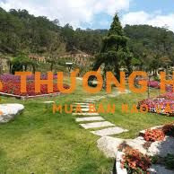 HỢP TÁC-SANG NHƯỢNG KHU DU LỊCH CANH NÔNG - P LANGBIANG- ĐÀ LẠT
