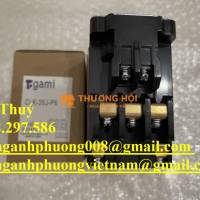 Togami Model CLK-26J-P6 - Khởi động từ giá ưu đãi