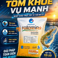 ❌❌ KHOÁNG ĐA VI LƯỢNG ROTAMIN ❌❌