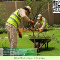 DỊCH VỤ CHĂM SÓC CẢNH QUAN – CẮT CỎ – TỈA CÂY KCN SÓNG THẦN 1, 2, 3