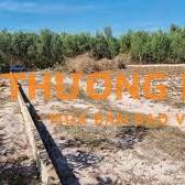 880 tr trọn sổ 1000m2 đất sạch 100% đường ô tô, sổ riêng Vĩnh Thanh củ