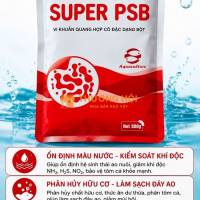 Rhodo - super psb -ổn định màu nước - kiểm soát khí độc