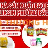 CÔNG TY CP BAO BÌ LIKSIN PHƯƠNG BẮC THÔNG BÁO BÁN THANH LÝ TÀI SẢN