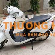 Honda Lead Trắng