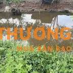 Cần bán 1000m đất giá 6tỷ ngay trung tâm xã đông thạnh hóc môn