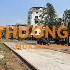 Bán lô góc mặt tiền ngã tư phân lô khu Tân Việt Tiến, xã Đại Đồng