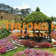 HỢP TÁC-SANG NHƯỢNG KHU DU LỊCH CANH NÔNG - P LANGBIANG- ĐÀ LẠT