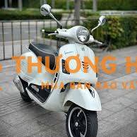 Piaggio Vespa 2015 Trắng xe Ý