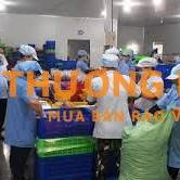 TUYỂN DỤNG CÔNG NHÂN SẢN XUẤT NÔNG SẢN