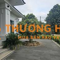 Cho thuê villa hoàn thành 2025, nhà mái Nhật nội thất Đông Dương