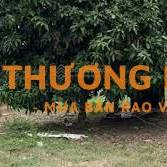 CẦN BÁN ĐẤT ĐỨC HUỆ – LONG AN, ĐẤT FULL THỔ CƯ, SỔ HỒNG CHÍNH CHỦ
