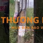 Cho thuê nhà và đất tại 374 Âu Cơ, 2 mặt tiền, mặt tiền chính rộng 30m
