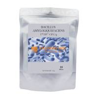 Men vi sinh đơn dòng Bacillus Amyloliquefaciens