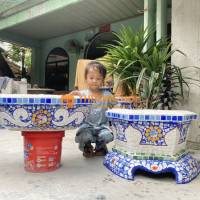 Chậu xi măng thủ công , chậu cẩn miểng , khảm sành sứ