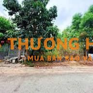 Bán lô đất tại Hoà Hậu, Lý Nhân