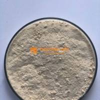 Enzyme đơn dòng Amylase phân giải tinh bột