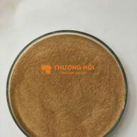 BACILLUS CLAUSII toàn diện các vấn đề về tiêu hóa