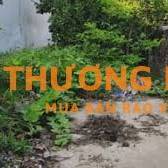 CHÍNH CHỦ BÁN ĐẤT ĐỒNG MAI, HÀ ĐÔNG – 111,2m² – MT 5M – SỔ ĐỎ