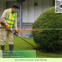 CÔNG TY CÂY XANH UY TÍN LONG THÀNH ĐỒNG NAI