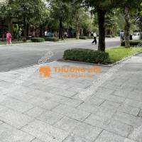 Đá tím hoa cà khò lửa – chống trơn vượt trội, bền đẹp cho mọi công trình