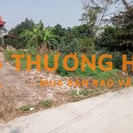 CẦN BÁN GẤP 133m² ĐẤT THỔ CƯ CHÍNH CHỦ – NGỌC TẢO, PHÚC THỌ, HÀ NỘI