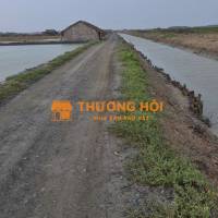 Tôi cần mua Đất ở huyện Cần Giờ