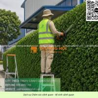 DỊCH VỤ CẮT CỎ – CHĂM SÓC CÂY XANH ĐỊNH KỲ KCN NHƠN TRẠCH, ĐỒNG NAI