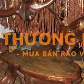 Bán bộ bàn ghế rễ cây gỗ tốt tại quận Bình Thạnh