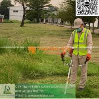 Dịch vụ cắt cỏ – chăm sóc cây xanh định kỳ Bình Dương, TP.HCM