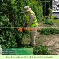 Dịch vụ Cắt cỏ - Chăm sóc cây xanh KCN Nhơn Trạch Đồng Nai