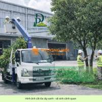 Dịch vụ Cắt cỏ, Cắt tỉa và Chăm sóc cây xanh nhà xưởng KCN Bình Dương
